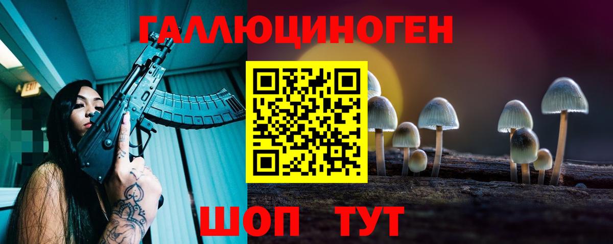 Галлюциногенные грибы GOLDEN TEACHER  Вход с VPN  Братск 